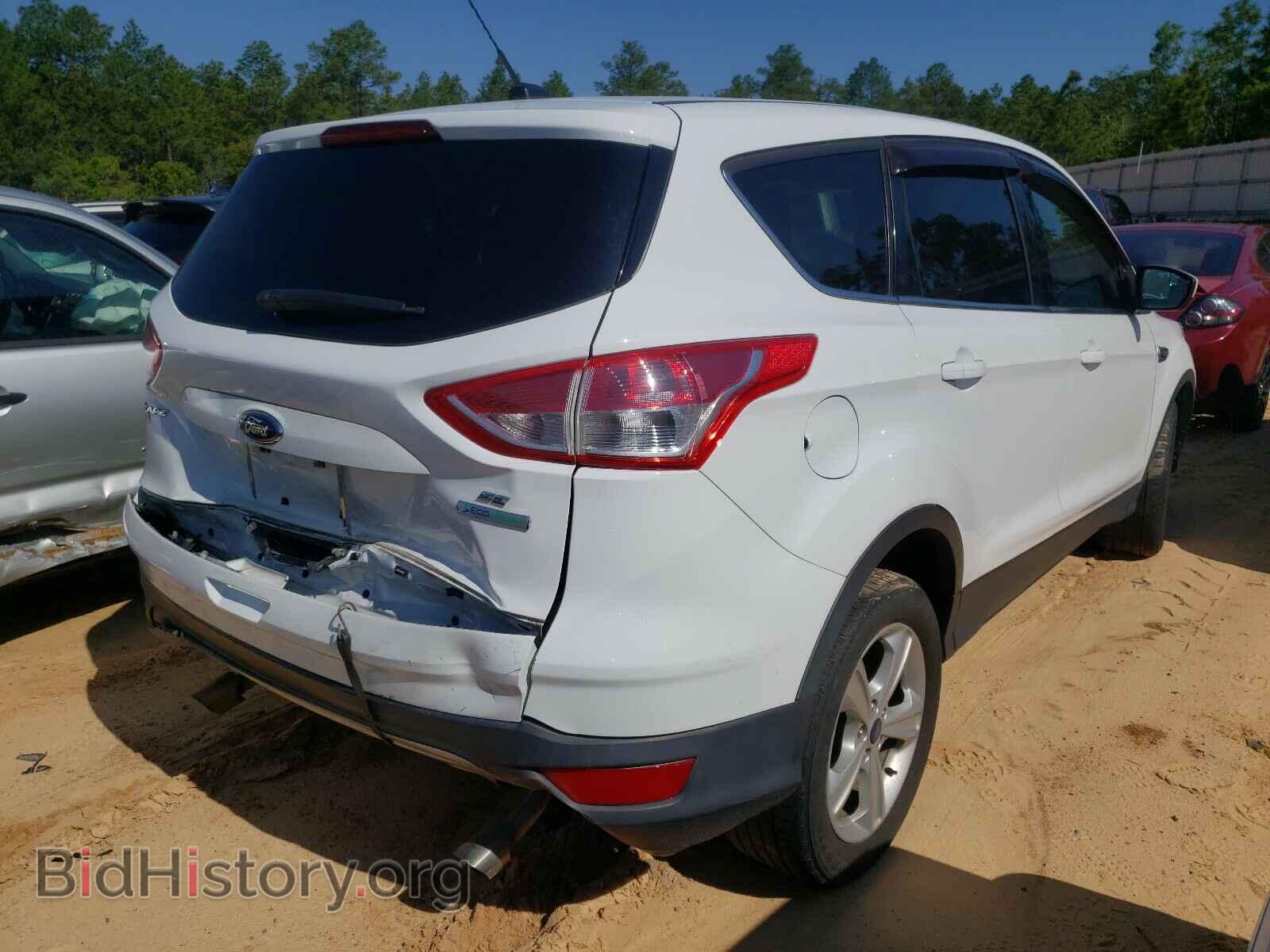 2013 FORD ESCAPE - VIN: 1FMCU0GX3DUD75489 - Фото 4