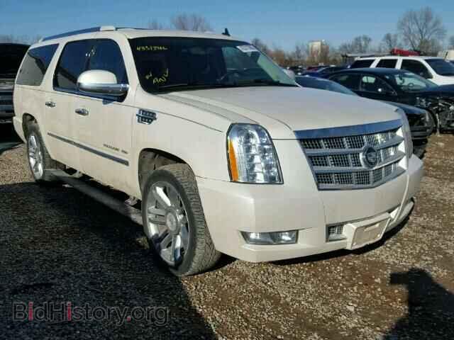 Фотография 1GYUKKEF7AR156581 - CADILLAC ESCALADE 2010