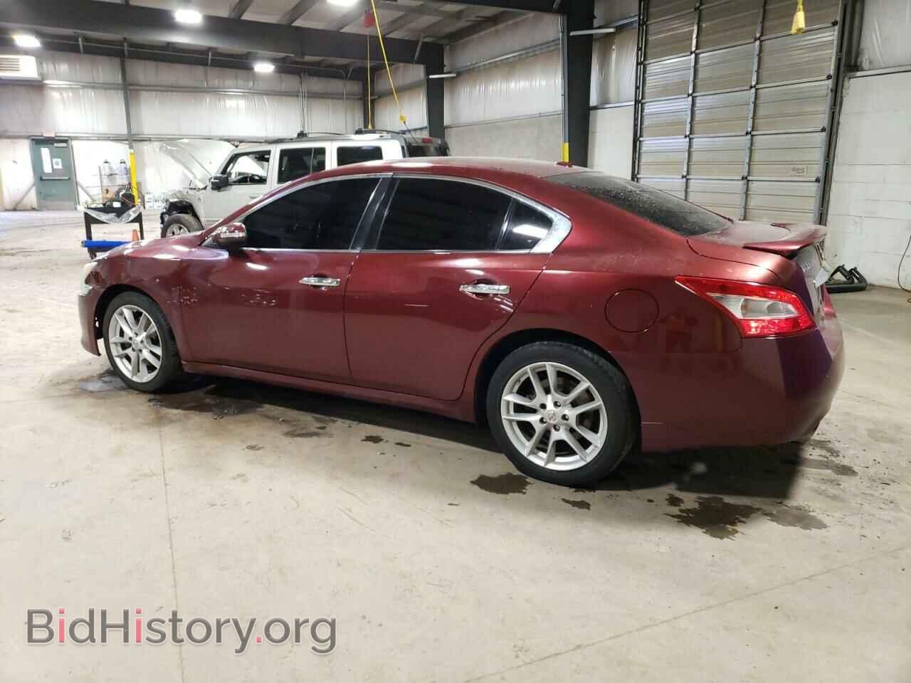 2010 NISSAN MAXIMA - VIN: 1N4AA5AP1AC823150 - Фото 2