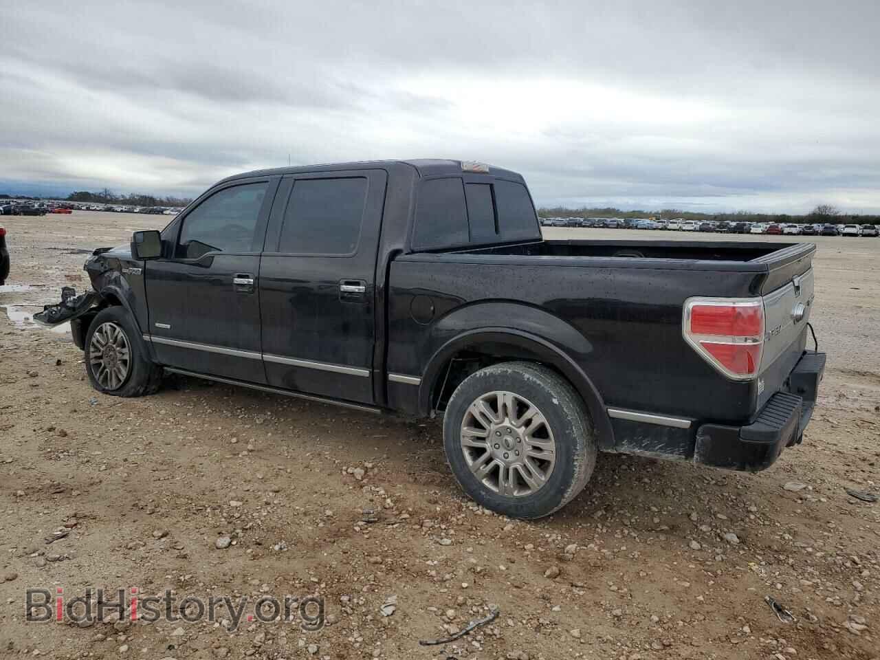 2013 FORD F-150 - VIN: 1FTFW1CT0DFE02480 - Фото 2