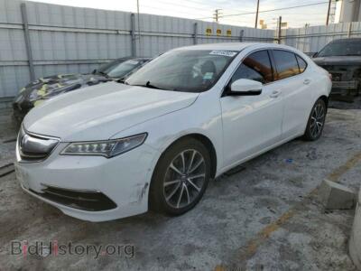 2015 Acura TLX TLX Tech, white — VIN 19UUB2F53FA005823, Copart