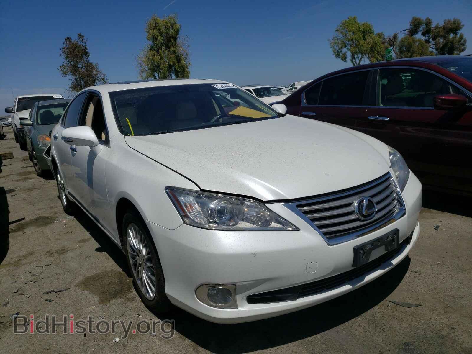 Photo JTHBK1EG1B2451698 - LEXUS ES 2011