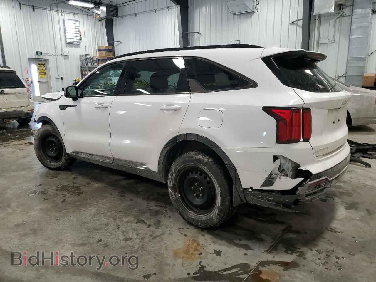 2023 KIA SORENTO - VIN: 5XYRKDLF2PG207115 - Фото 2