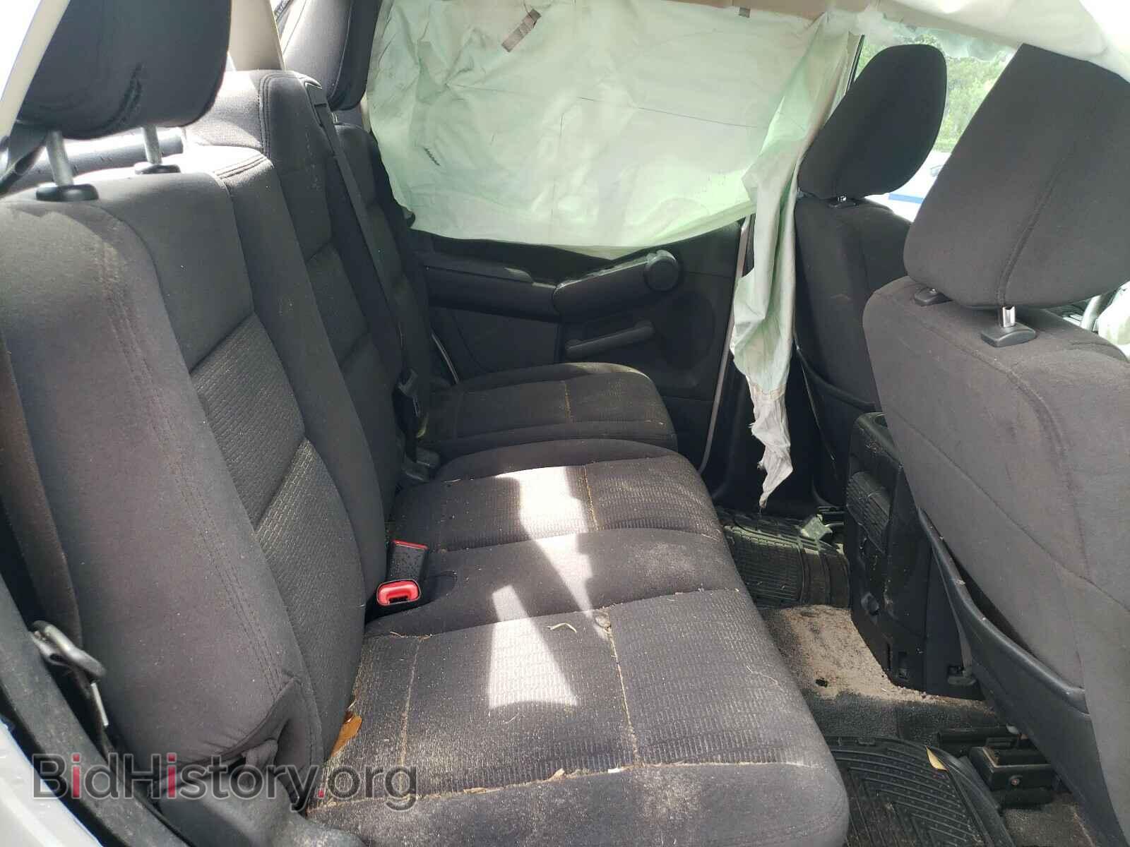 2010 FORD EXPLORER - VIN: 1FMEU3BE6AUF07074 - Фото 6