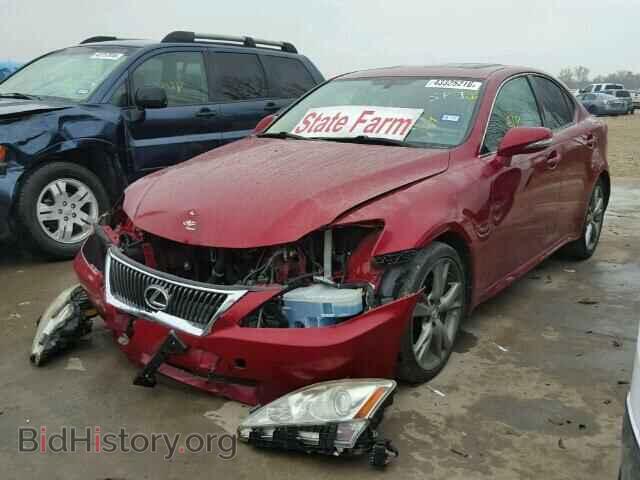 2009 LEXUS IS250 - VIN: JTHBK262692086762 - Фото 2