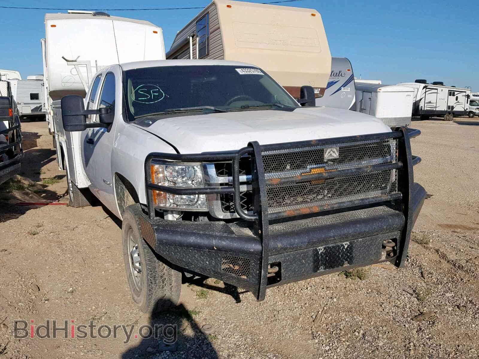 Фотография 1GB2CVCG8DZ254664 - CHEVROLET SILVERADO 2013