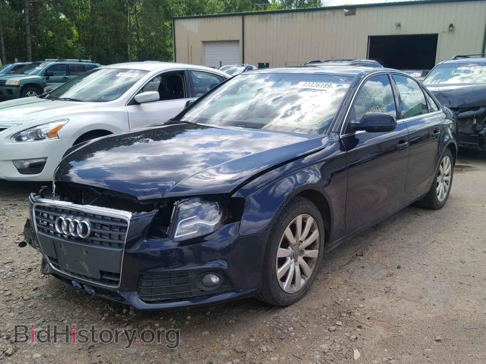 2010 AUDI A4 - VIN: WAUFFAFL0AN034411 - Фото 2