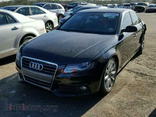 2010 AUDI A4 - VIN: WAUEFAFL5AN008236 - Фото 2