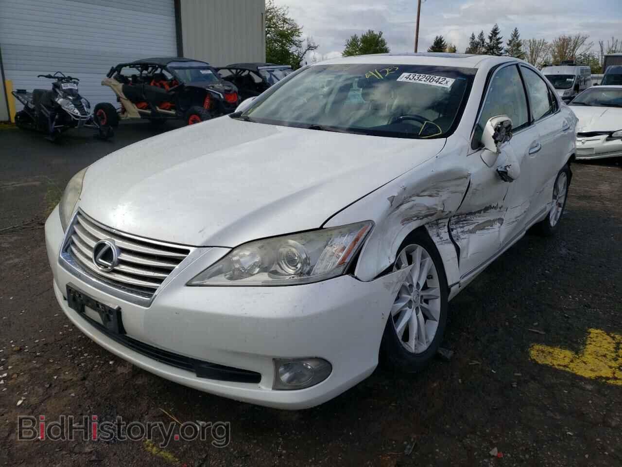 2011 LEXUS ES350 - VIN: JTHBK1EG0B2421317 - Фото 2