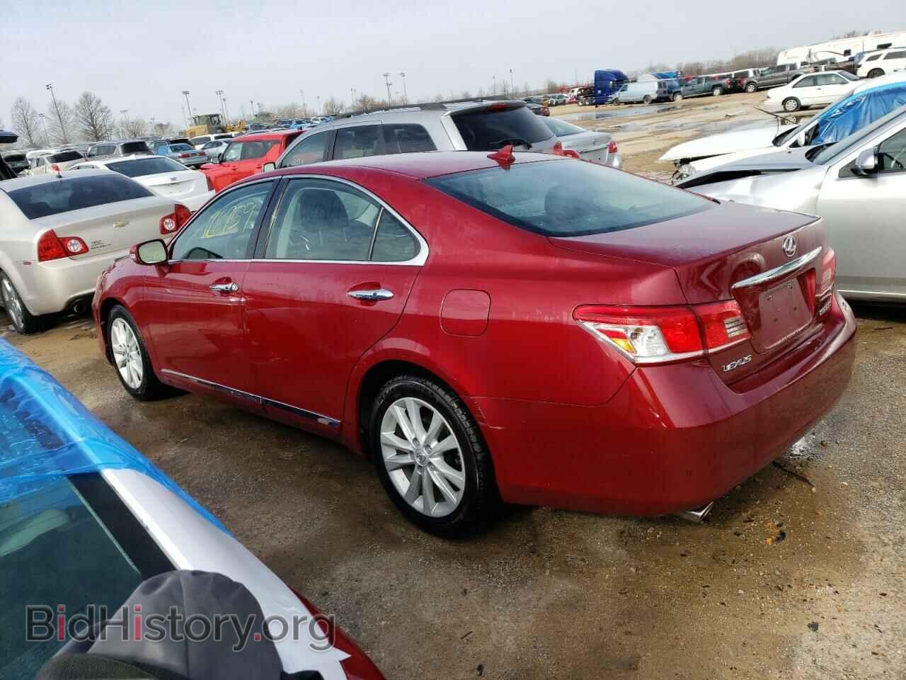 2010 LEXUS ES350 - VIN: JTHBK1EG2A2393826 - Фото 2