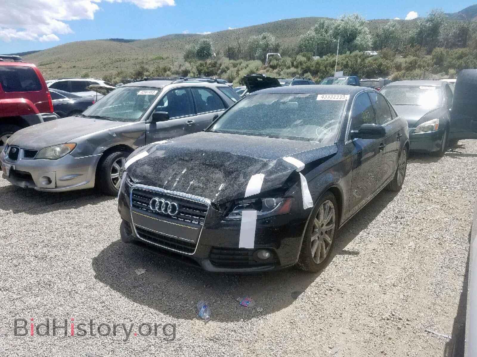 2010 AUDI A4 - VIN: WAUEFAFL0AN034842 - Фото 2