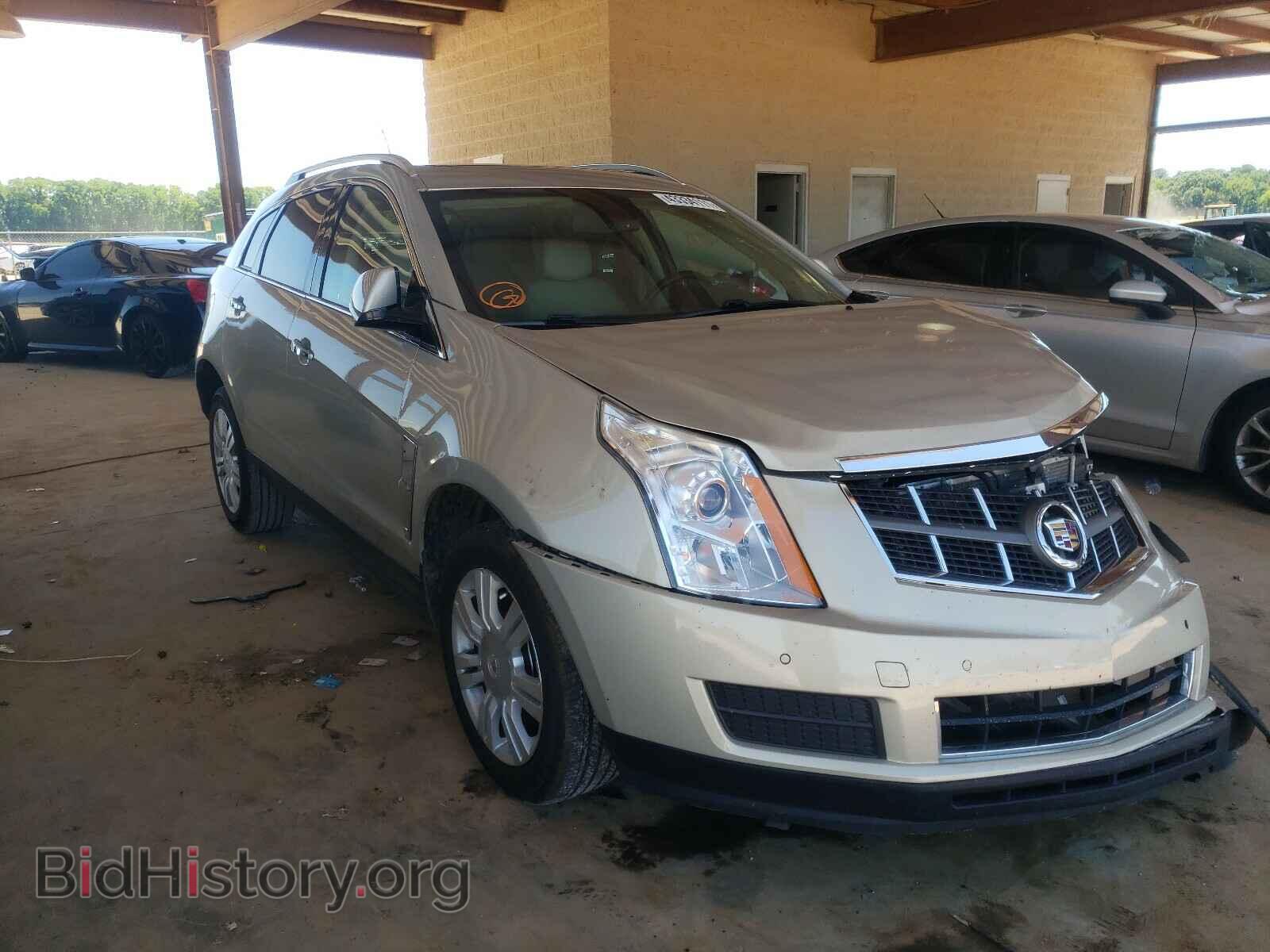 Фотография 3GYFNAE36CS502569 - CADILLAC SRX 2012