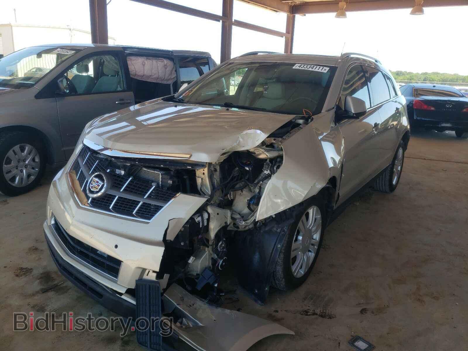 2012 CADILLAC SRX - VIN: 3GYFNAE36CS502569 - Фото 2