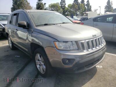 2011 Jeep COMPASS Compass SP, gray — VIN 1J4NT1FA3BD287357, Copart