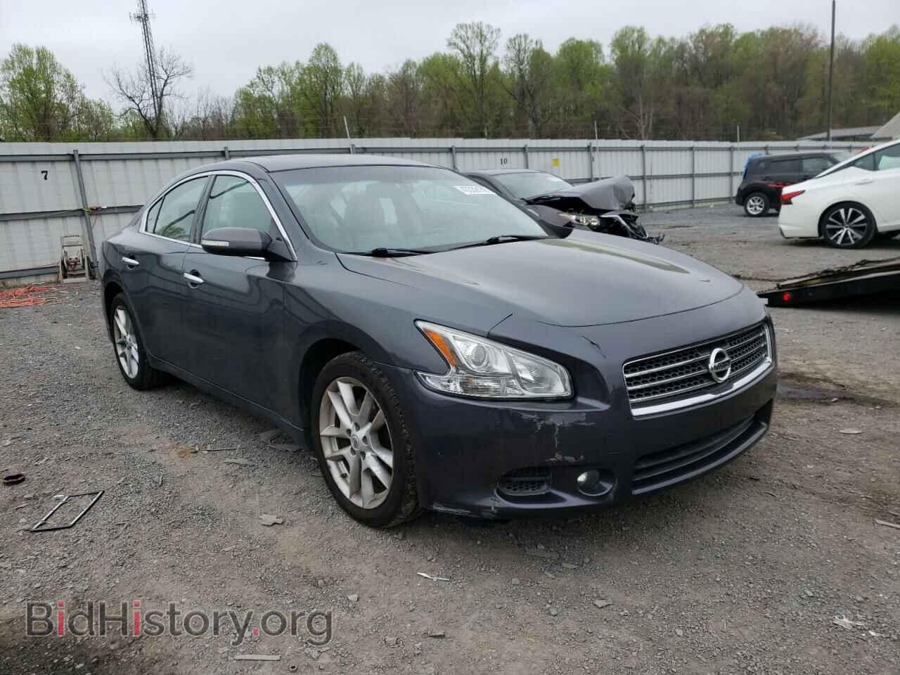 Фотография 1N4AA5APXBC817316 - NISSAN MAXIMA 2011