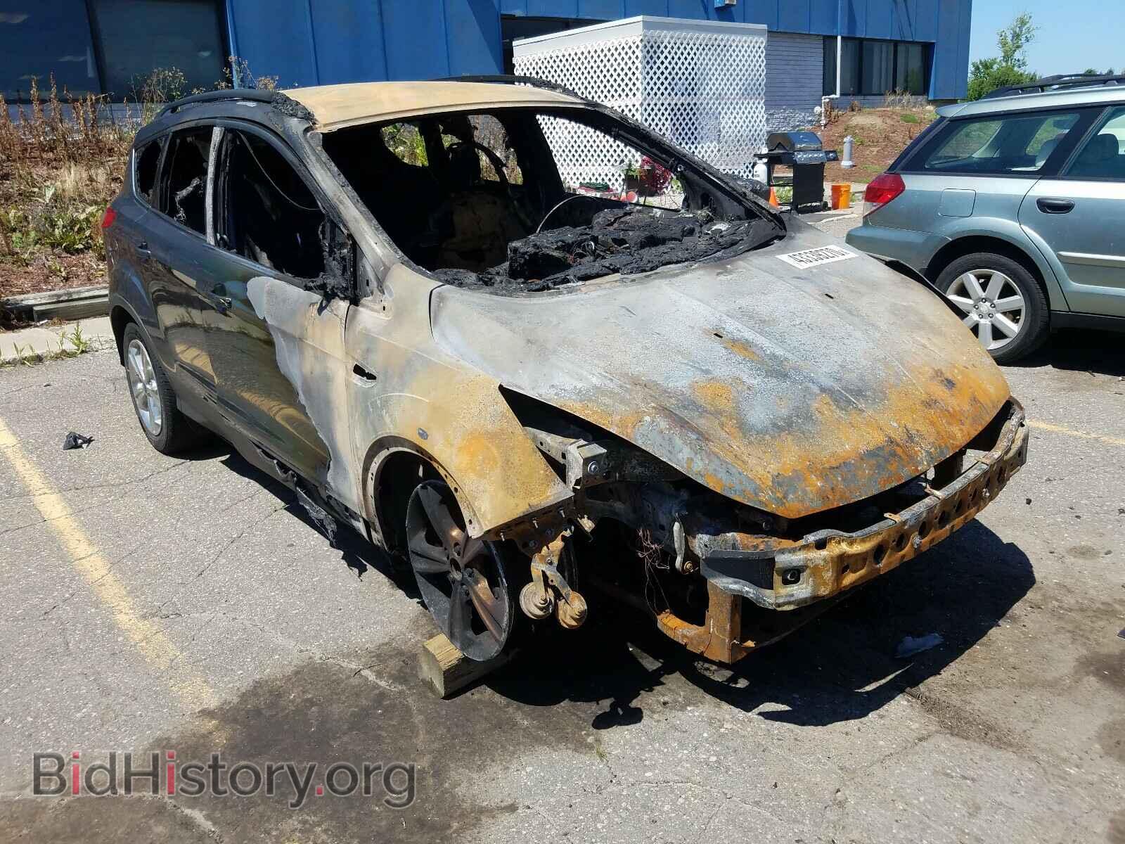 Фотография 1FMCU0GX5EUC46381 - FORD ESCAPE 2014