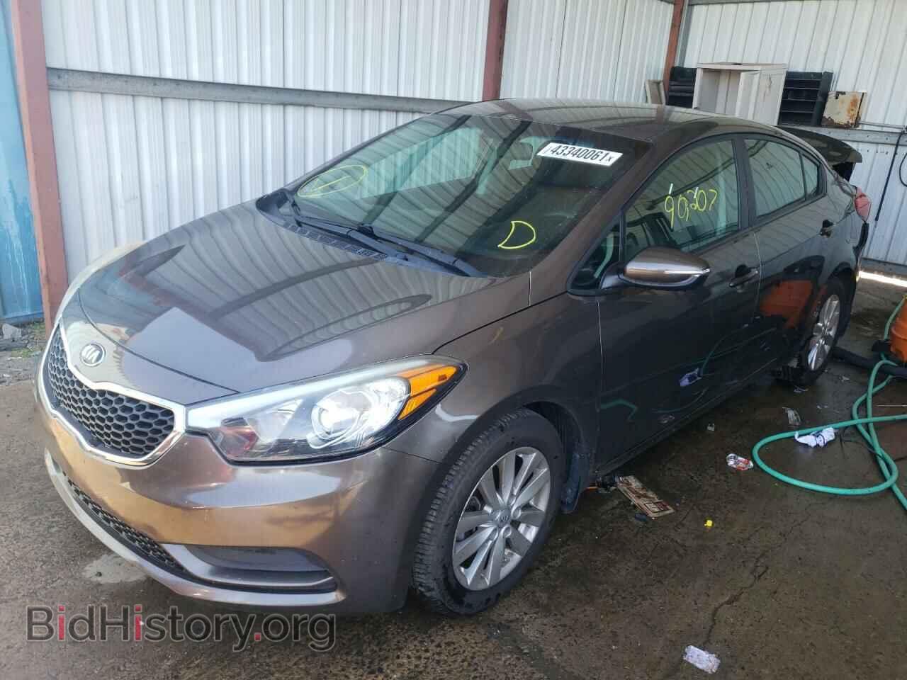 2014 KIA FORTE - VIN: KNAFX4A65E5184391 - Фото 2