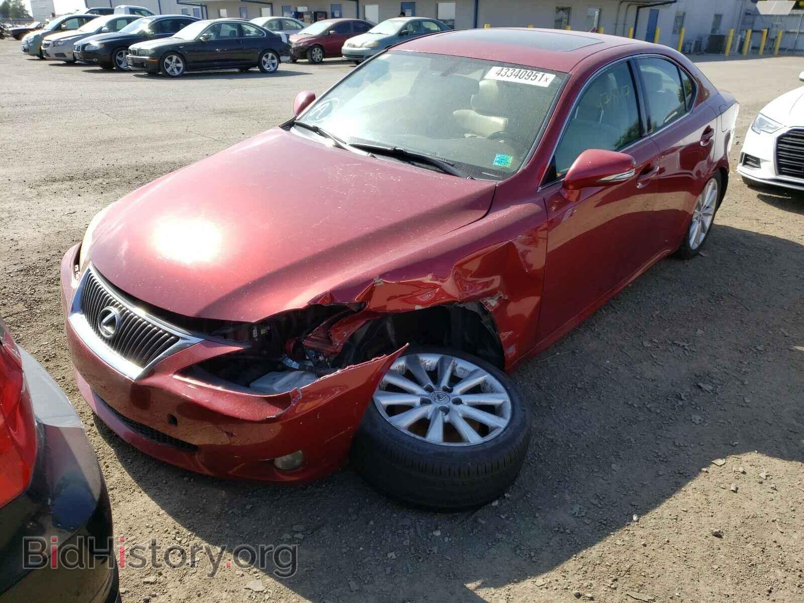 2010 LEXUS IS - VIN: JTHBF5C28A2095512 - Фото 2