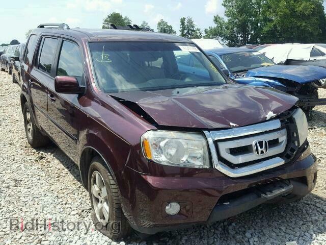 Фотография 5FNYF4H49BB016413 - HONDA PILOT EX 2011