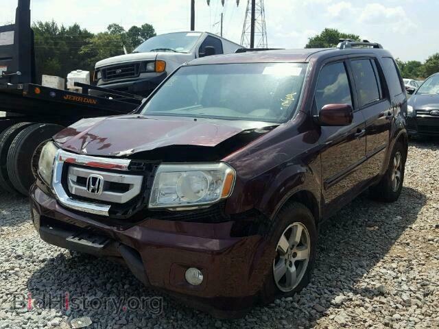 2011 HONDA PILOT EX - VIN: 5FNYF4H49BB016413 - Фото 2
