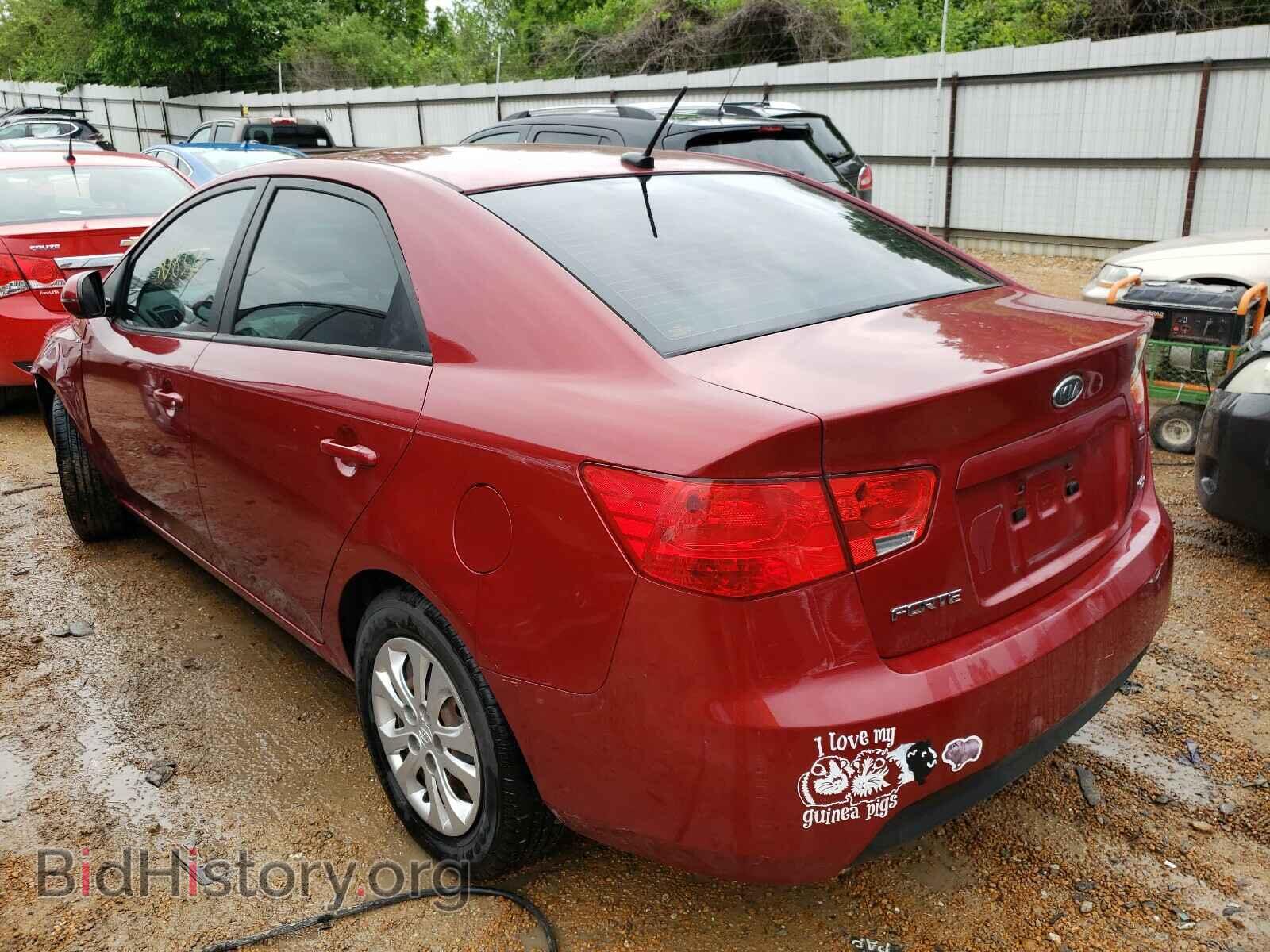 2011 KIA FORTE - VIN: KNAFU4A2XB5408272 - Фото 3