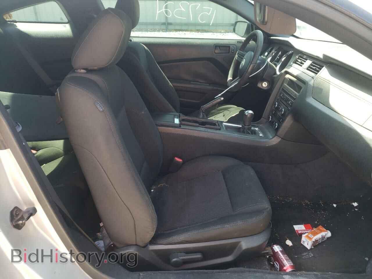 2011 FORD MUSTANG - VIN: 1ZVBP8AM5B5141864 - Фото 5