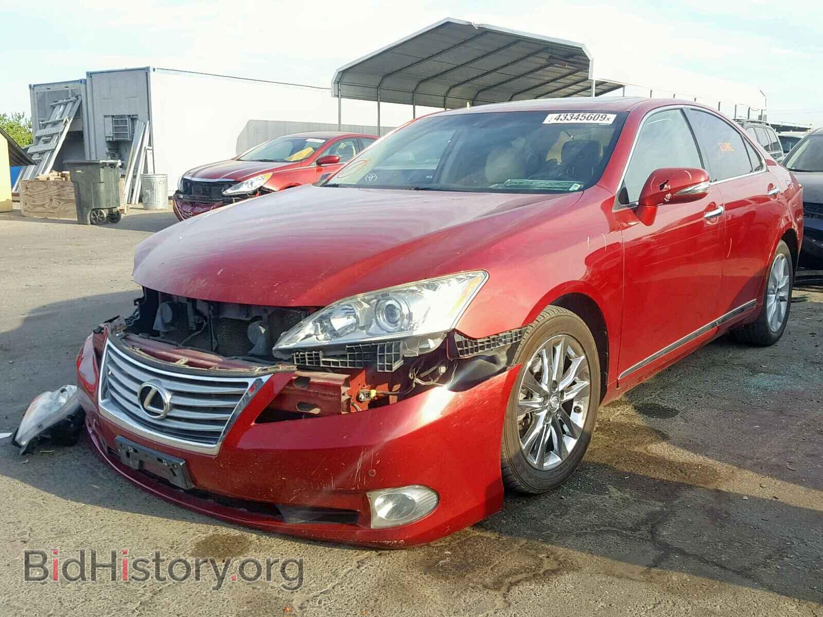 2011 LEXUS ES350 - VIN: JTHBK1EG3B2445109 - Фото 2