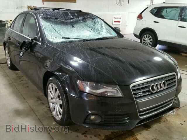 Фотография WAUFFAFL0AN056862 - AUDI A4 2010