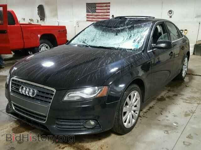2010 AUDI A4 - VIN: WAUFFAFL0AN056862 - Photo 2