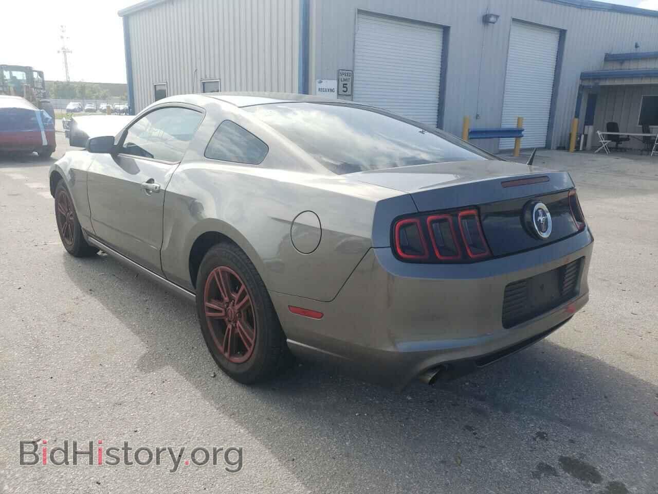 2014 FORD MUSTANG - VIN: 1ZVBP8AM2E5308900 - Фото 3
