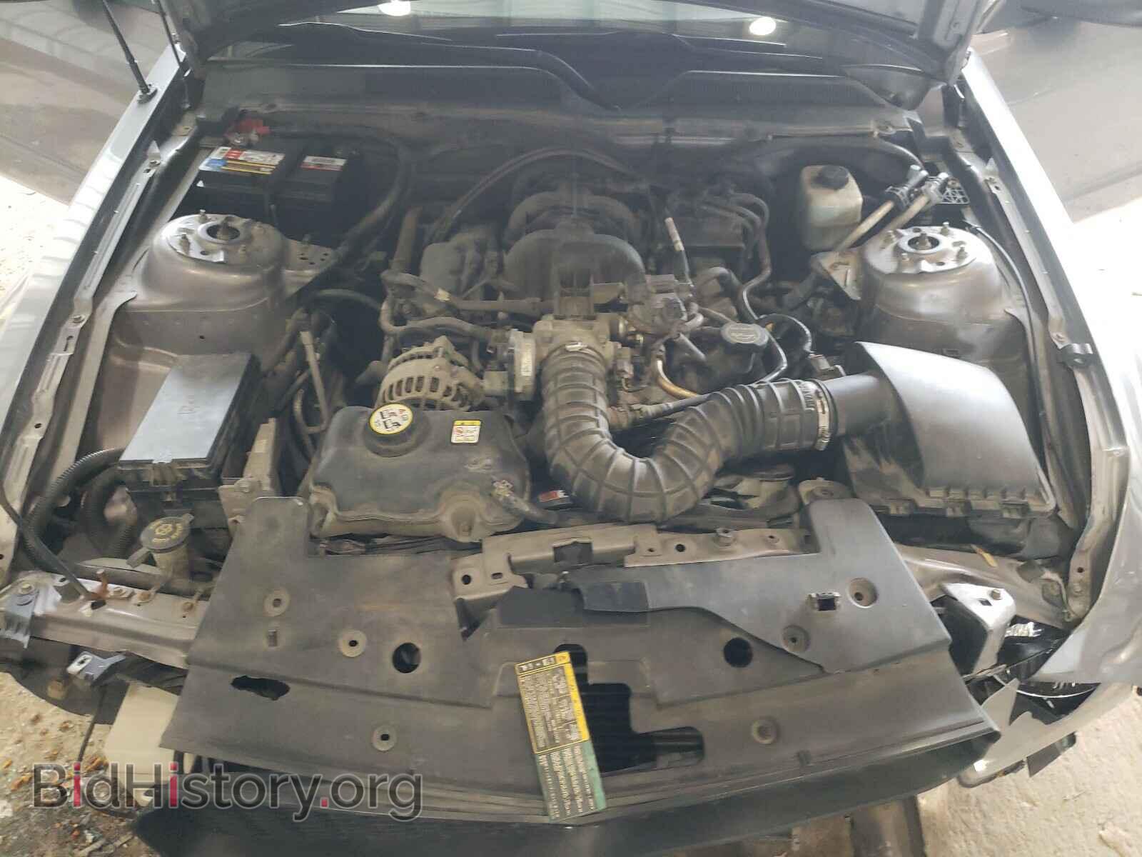 2006 FORD MUSTANG - VIN: 1ZVFT80N665264795 - Фото 7
