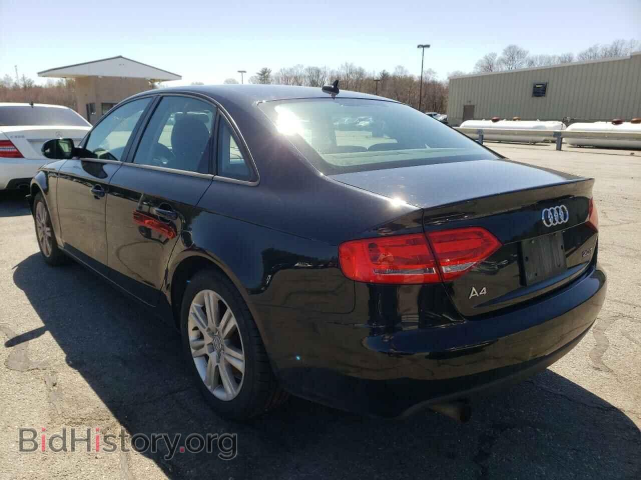 2010 AUDI A4 - VIN: WAUAFAFL5AN016058 - Фото 3