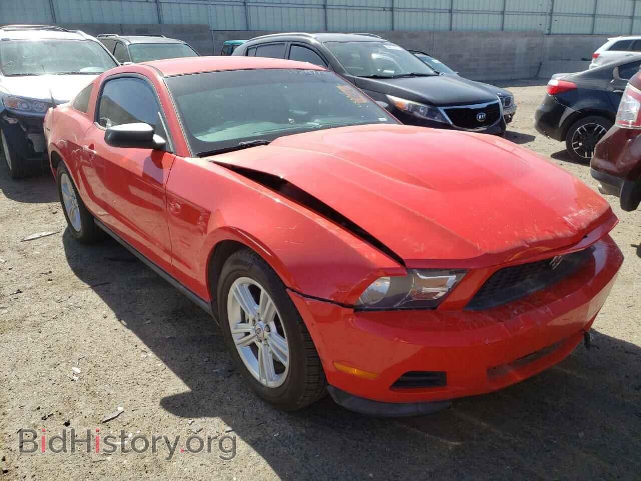 Фотография 1ZVBP8AM5C5285741 - FORD MUSTANG 2012