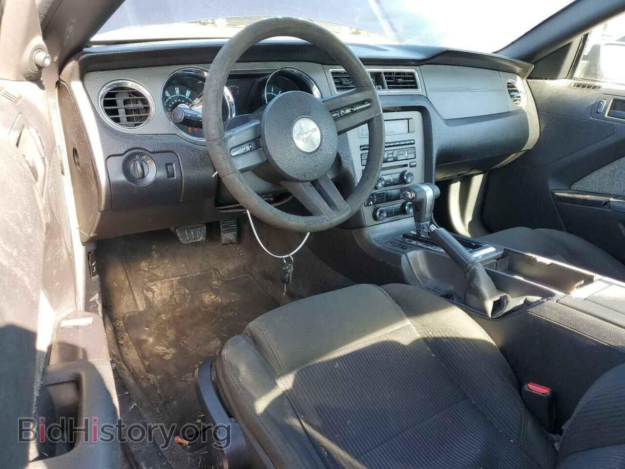 2010 FORD ALL Models - VIN: 1ZVBP8ANXA5175256 - Фото 8