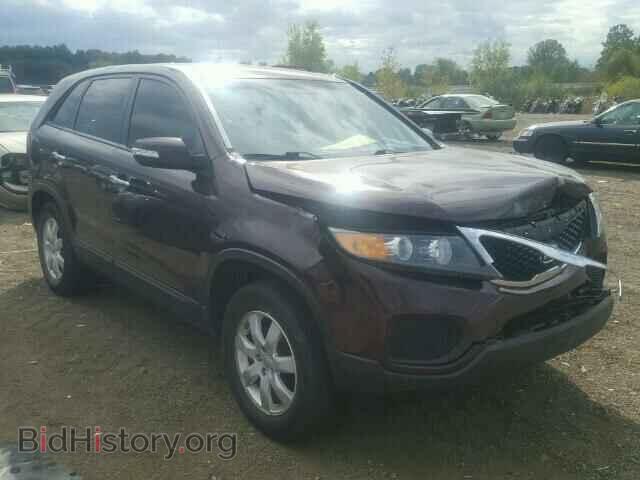 Фотография 5XYKT4A17CG300048 - KIA SORENTO 2012