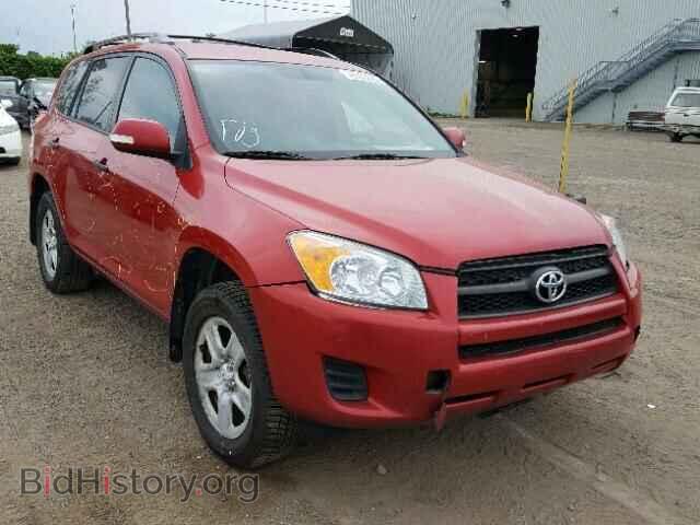 Фотография 2T3BF4DV3BW143253 - TOYOTA RAV4 2011