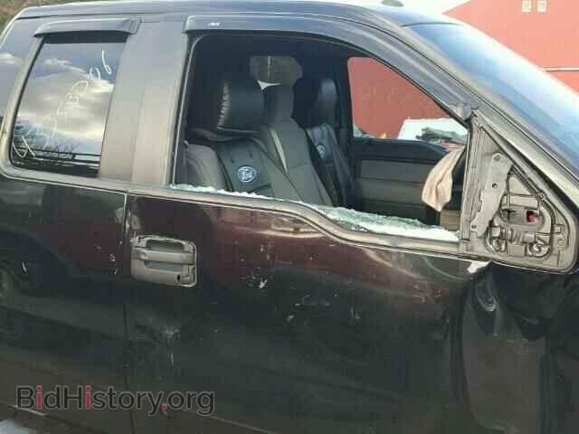 2013 FORD F150 - VIN: 1FTFX1EFXDFC99587 - Фото 10