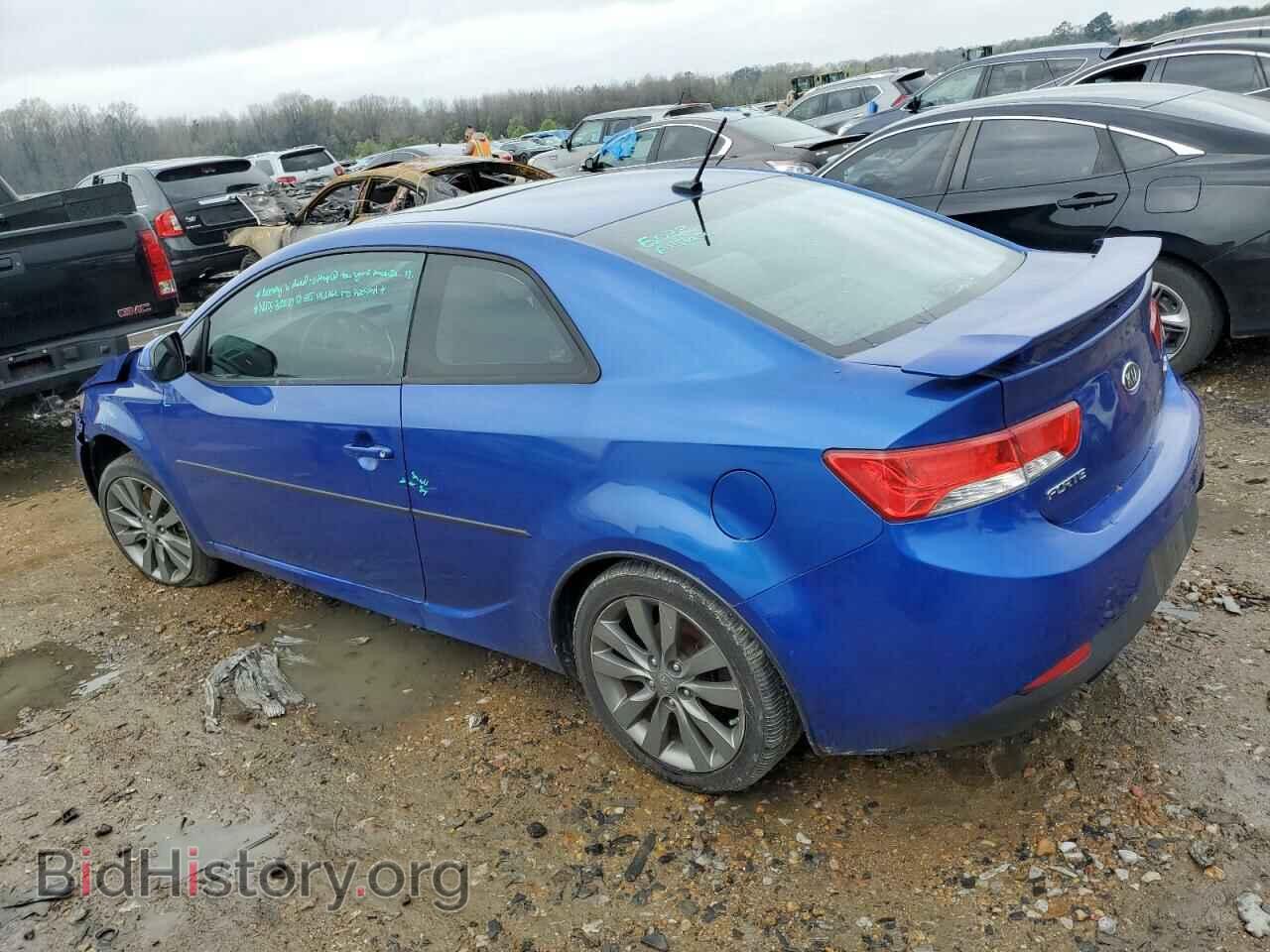 2013 KIA FORTE - VIN: KNAFW6A38D5685410 - Фото 2