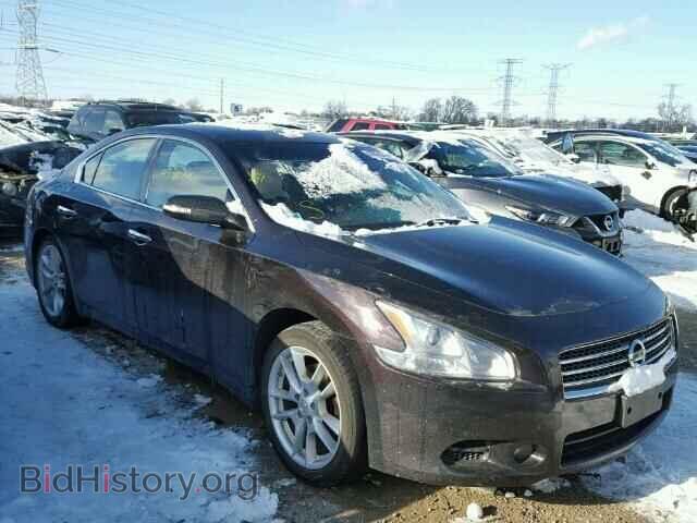 Фотография 1N4AA5AP2BC802342 - NISSAN MAXIMA 2011