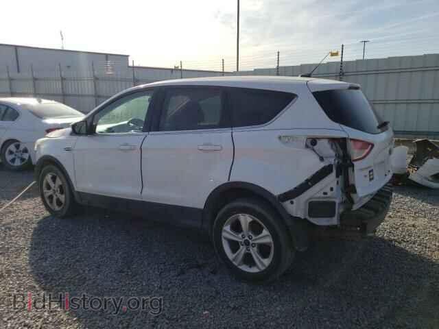 2016 FORD ESCAPE - VIN: 1FMCU0GX2GUA25596 - Фото 2
