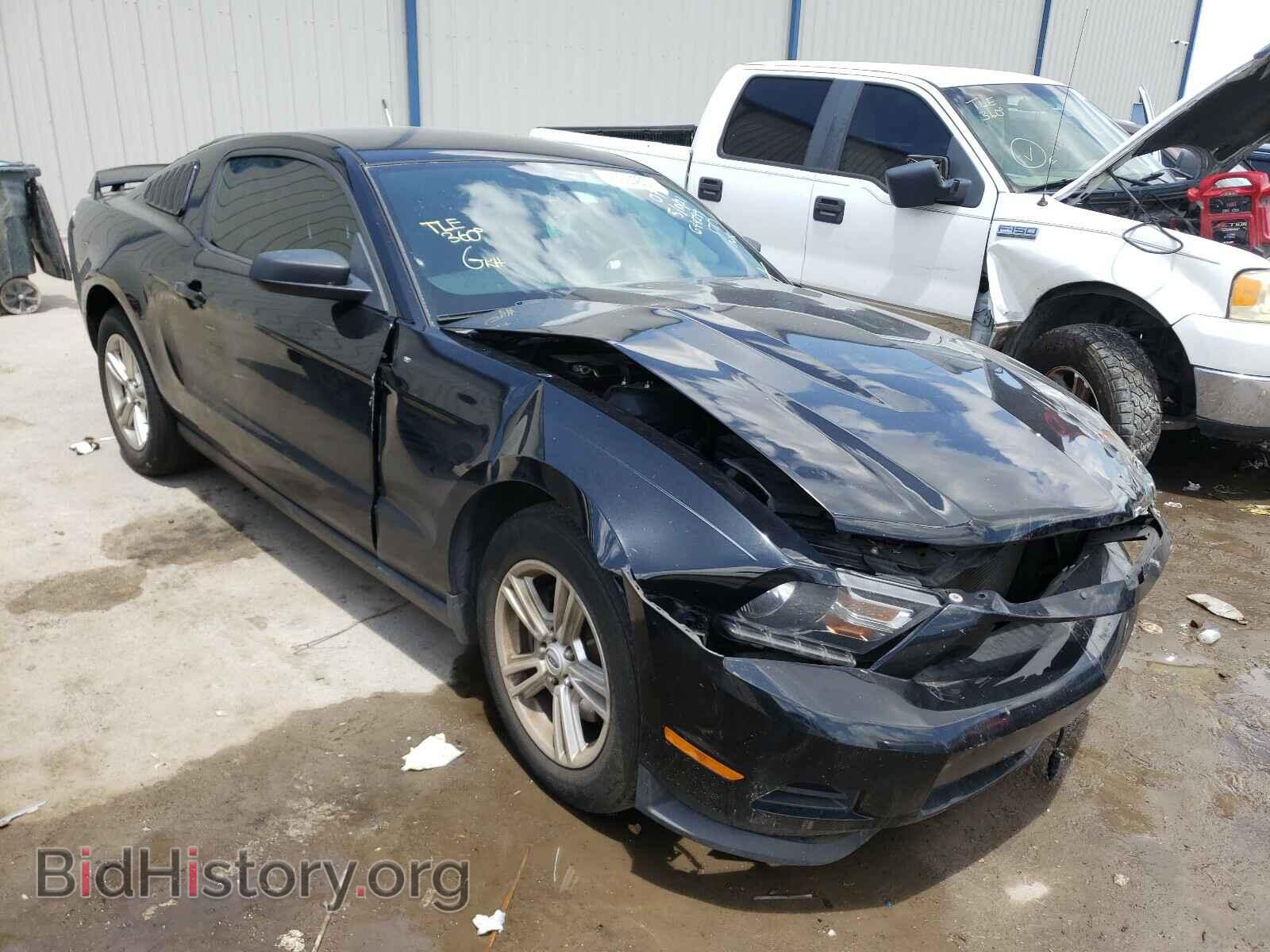 Photo 1ZVBP8AMXC5280809 - FORD MUSTANG 2012