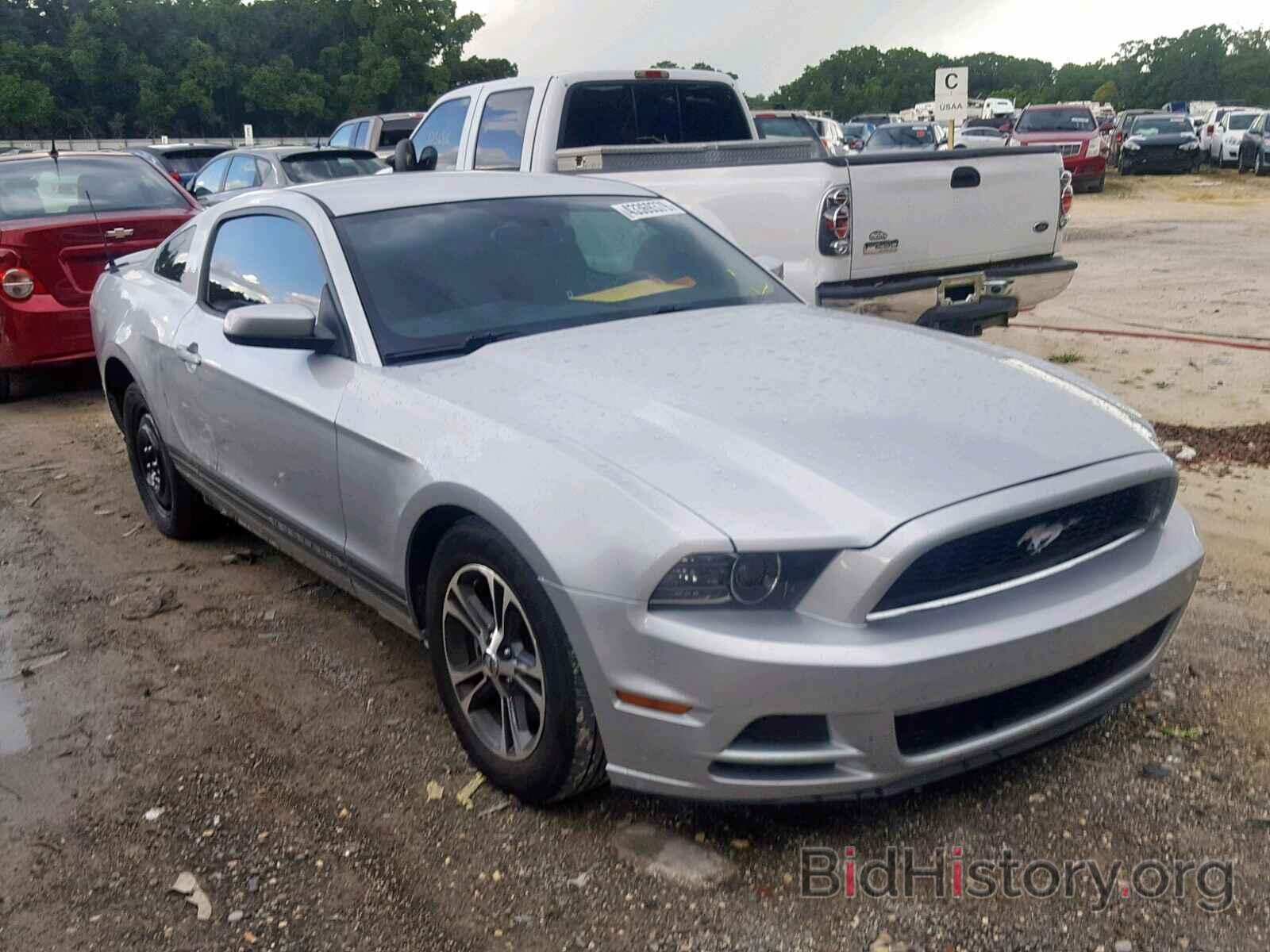 Photo 1ZVBP8AM6D5252300 - FORD MUSTANG 2013