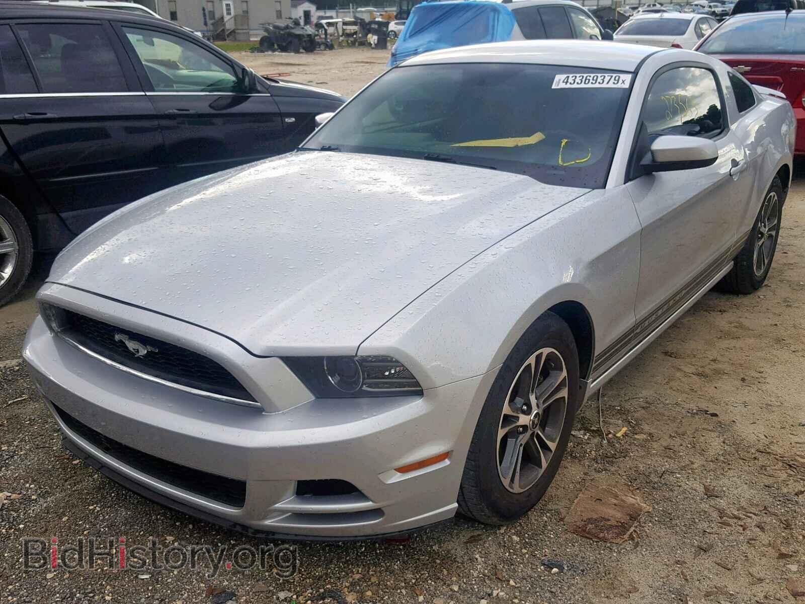2013 FORD MUSTANG - VIN: 1ZVBP8AM6D5252300 - Фото 2