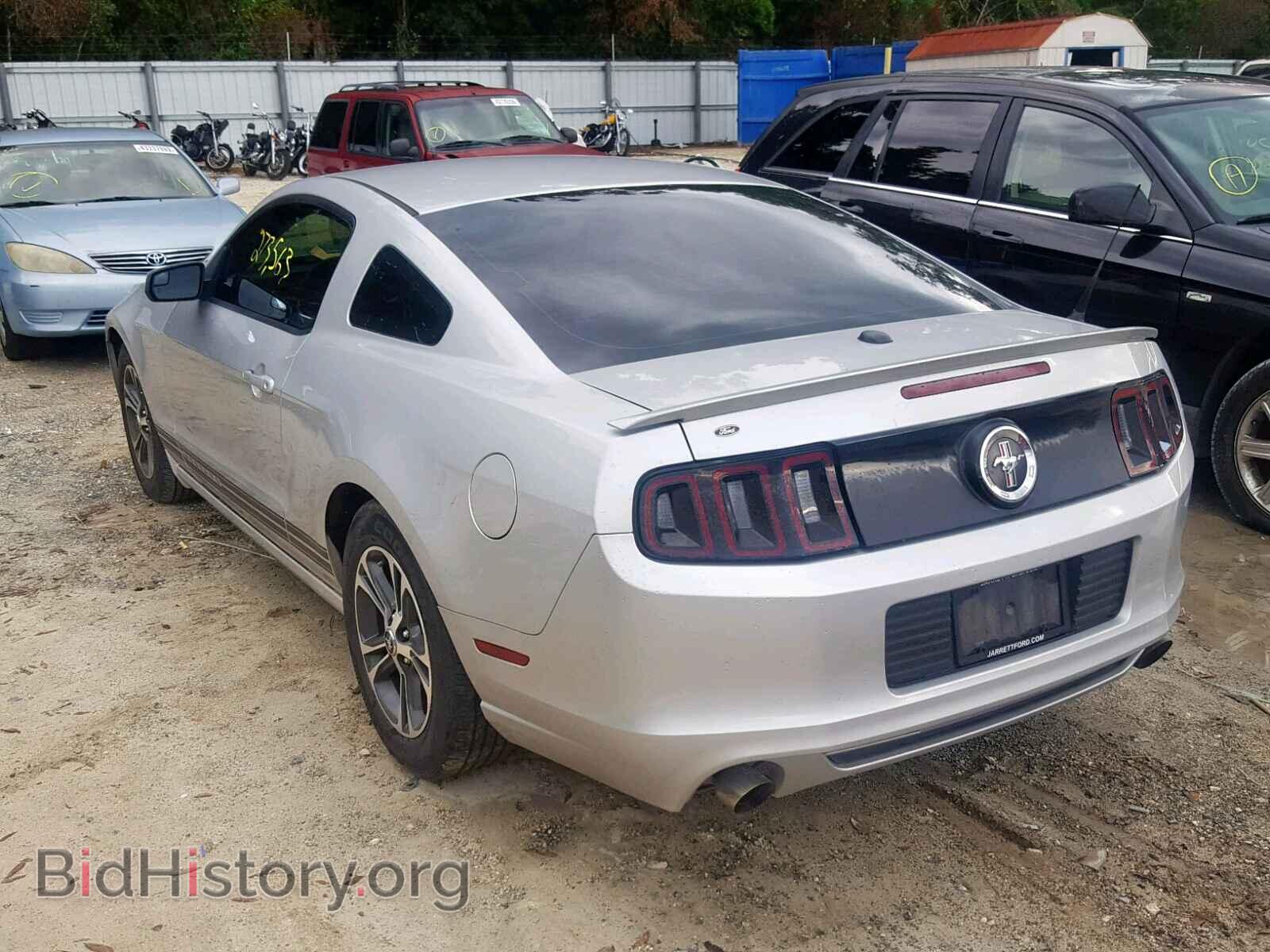 2013 FORD MUSTANG - VIN: 1ZVBP8AM6D5252300 - Фото 3