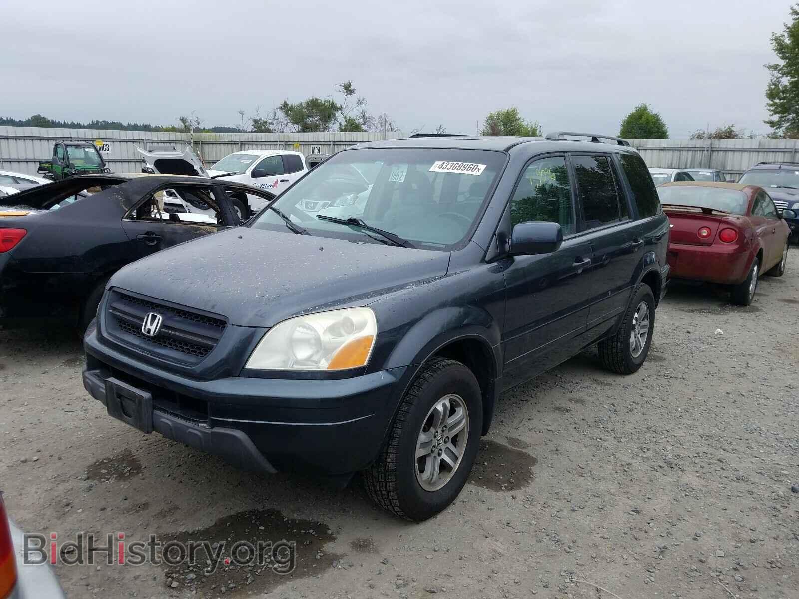 2005 HONDA PILOT - VIN: 2HKYF18585H521341 - Фото 2