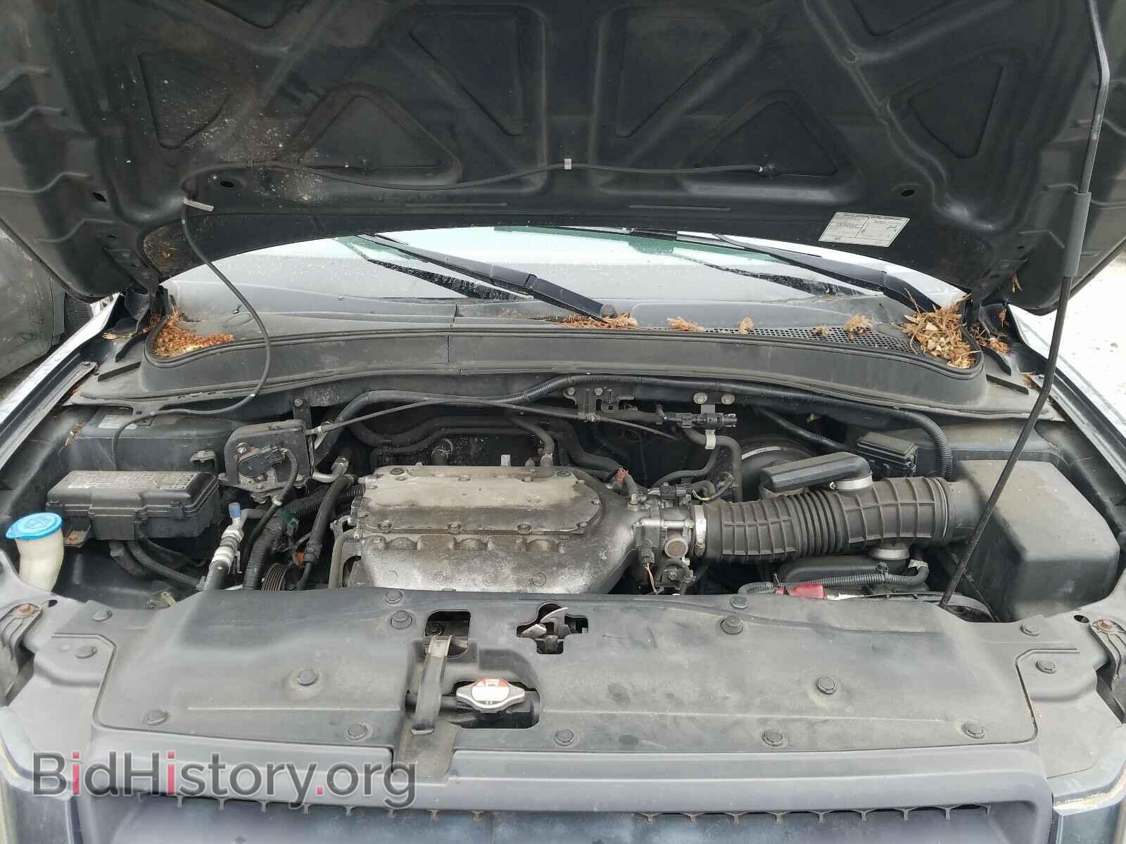 2005 HONDA PILOT - VIN: 2HKYF18585H521341 - Фото 7