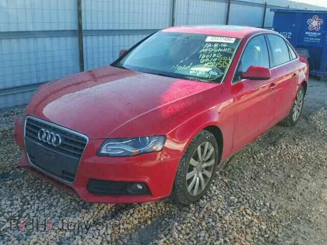 2011 AUDI A4 - VIN: WAUEFAFL1BN034513 - Фото 2