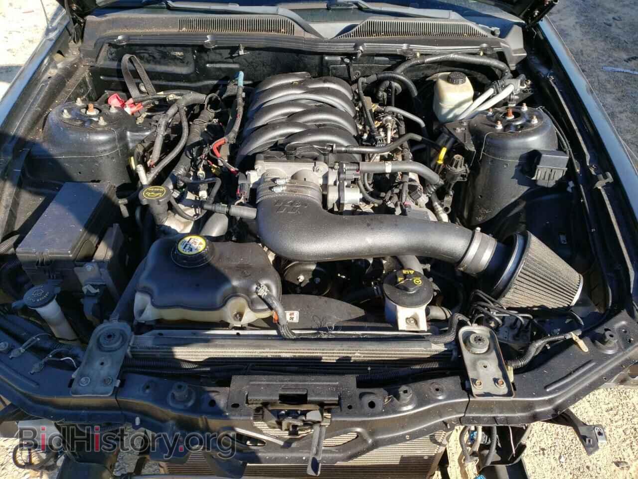 2006 FORD MUSTANG - VIN: 1ZVFT82H765153177 - Фото 11