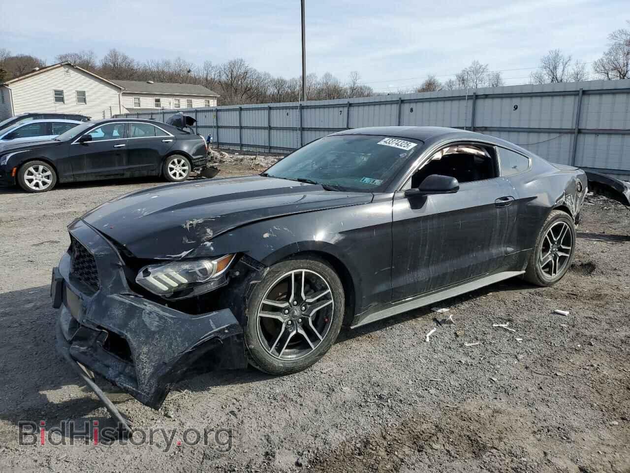 Фотография 1FA6P8AM4H5286428 - FORD ALL Models 2017