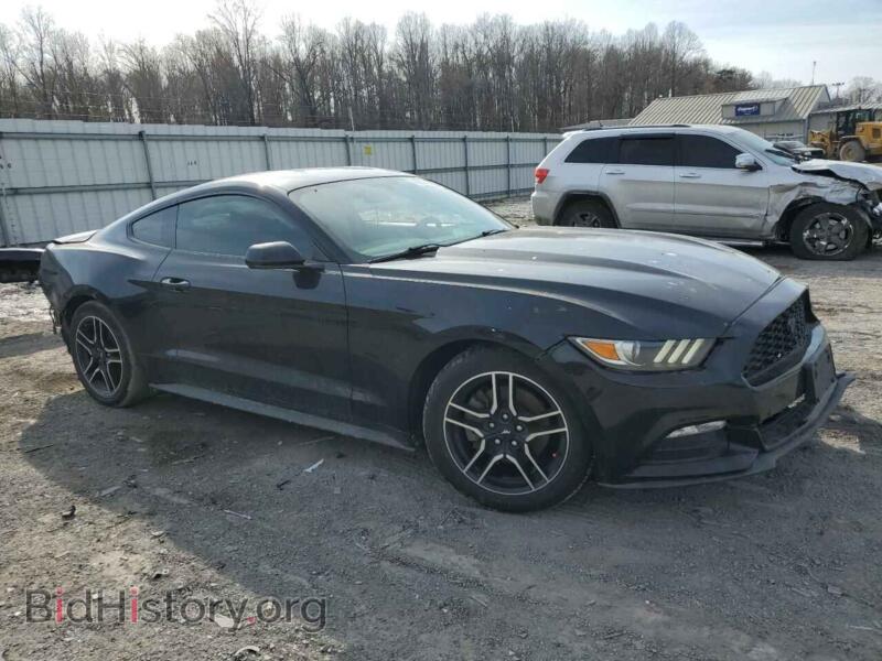 2017 Ford ALL MODELS (VIN 1FA6P8AM4H5286428) — фото 4 из 16